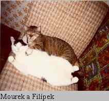 Mourek a Filpek (6 kB)