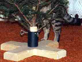 Jůlinka se schovává za vánoční stromek (6 kB)