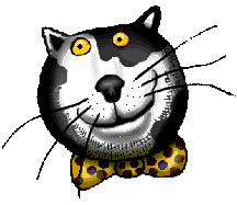 Kočičí animace z Imternetu poslaná Dumce čtenářkou (33 kB)