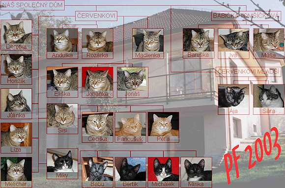 PF 2003 přejí čtenářkám a čtenářům Dumky Červenkovi a jejich kočky (42 kB) - větší 83 kB