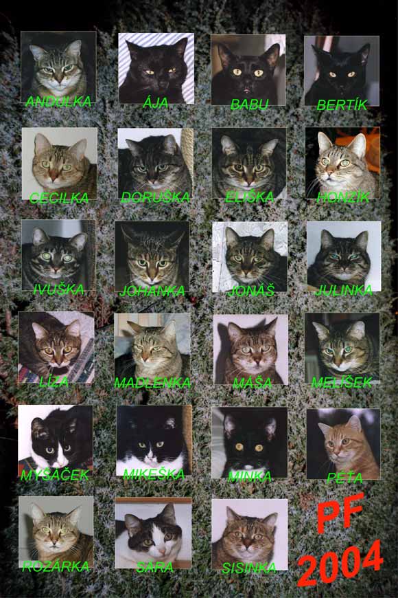PF 2004 přejí čtenářkám a čtenářům Dumky Červenkovi a jejich kočky (84 kB) - větší 142 kB