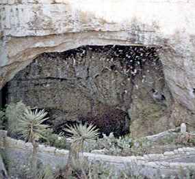 Návrat netopýrů do jeskyně (12 kB)