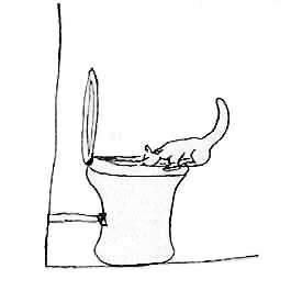 Lj nejen pro skorky - nakreslil Petr Steiner (5 kB)