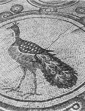 Pv z mozaiky kostela Kiri Maria v Bet en (12 kB)