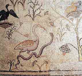 Vodn ptactvo na mozaice v kostele v Tabgha (15 kB)