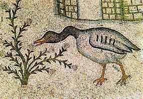 Husa berneka na mozaice v kostele v Tabgha (14 kB)