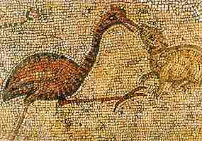 Kohout s damanem na mozaice v kostele v Tabgha (12 kB)