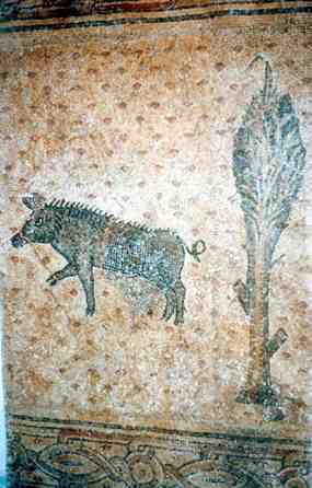 Kanec na mozaice starobylho kostela v Hanita (16 kB)