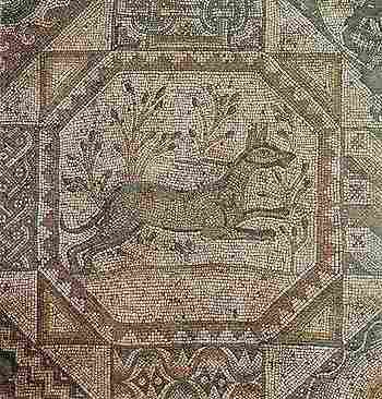 Honc pes na mozaice v Bejt Guvrin (22 kB)