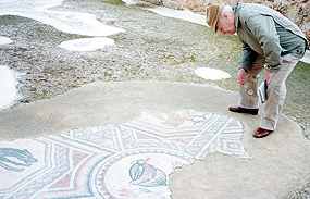 Spisovatel Viktor Fischl si prohl mozaiku s kohoutem, ptkem a oslem v kltee Martyrius (8 kB)