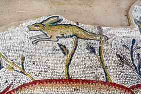 Bec zajc na mozaice z Bejt Guvrin (9 kB)