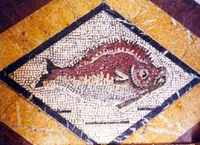 Ryba na mozaice v Aranjuez - Casita del Labrador (12 kB)
