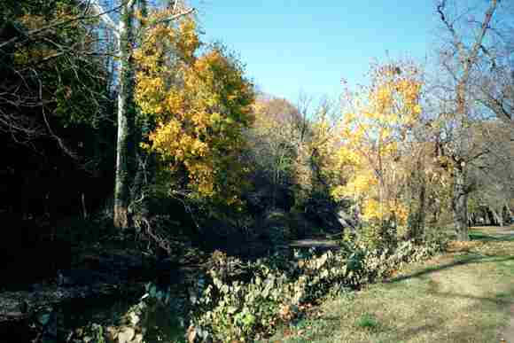 Podzim u ky Rock Creek h barvami (19 kB)
