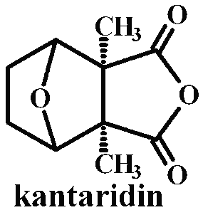 chemick struktura kantaridinu (3 kB)